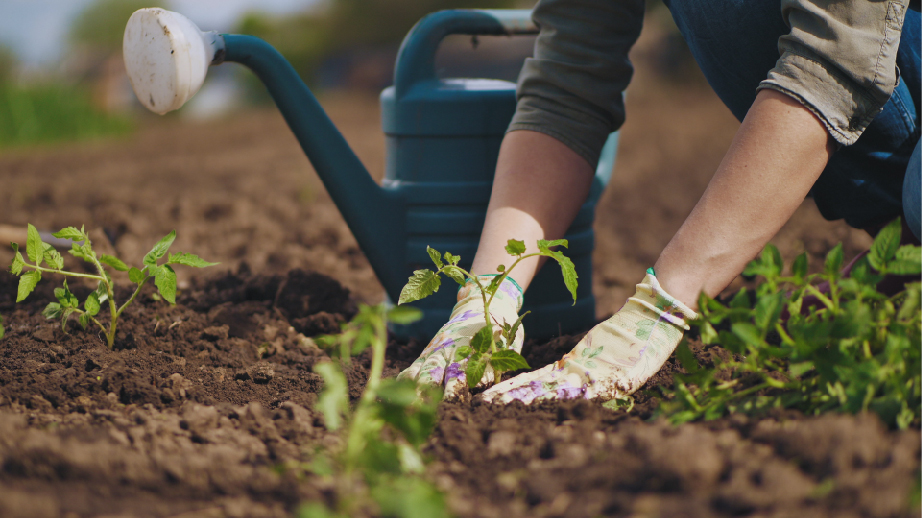 Gardening Image Gardening Image