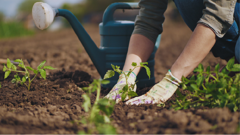 Gardening Image