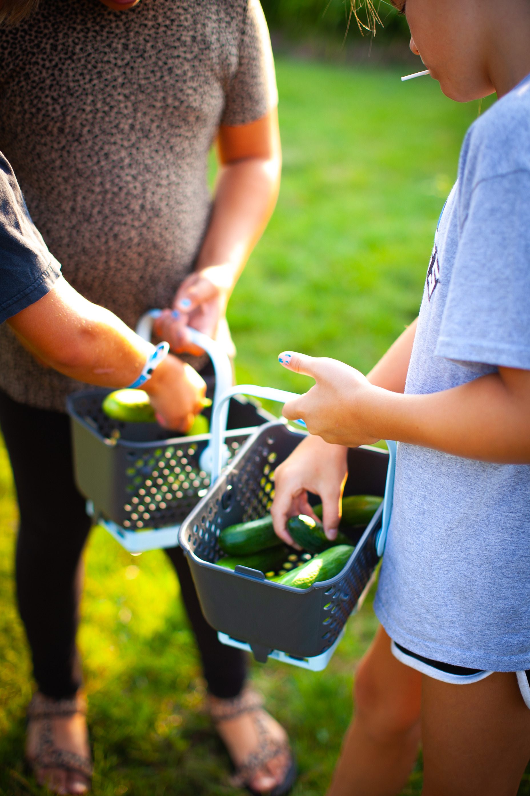 Community Garden