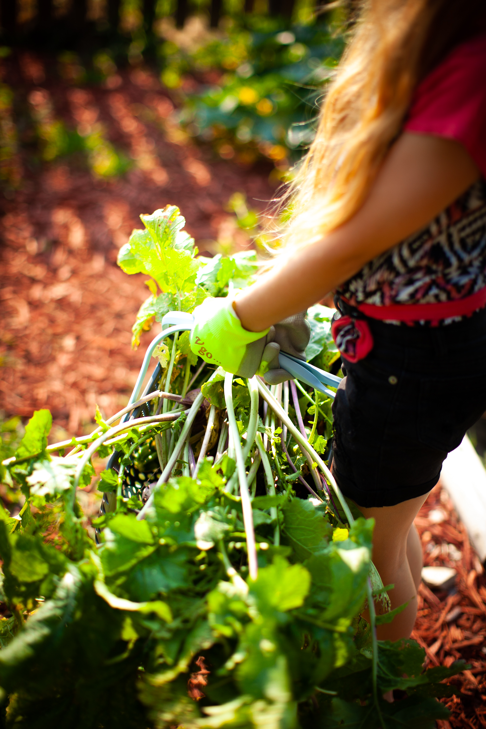 Community Garden