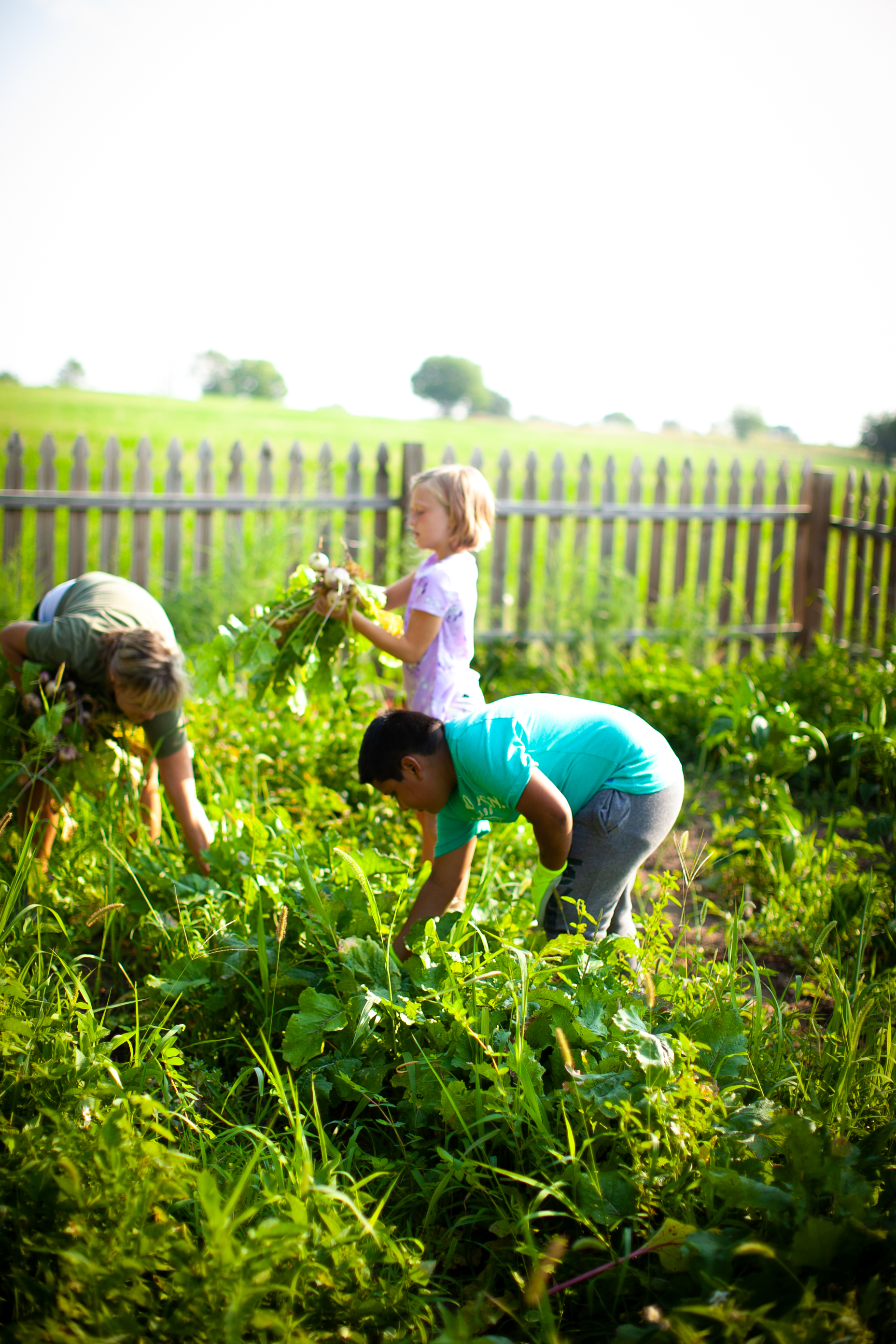 LWMC Garden Image