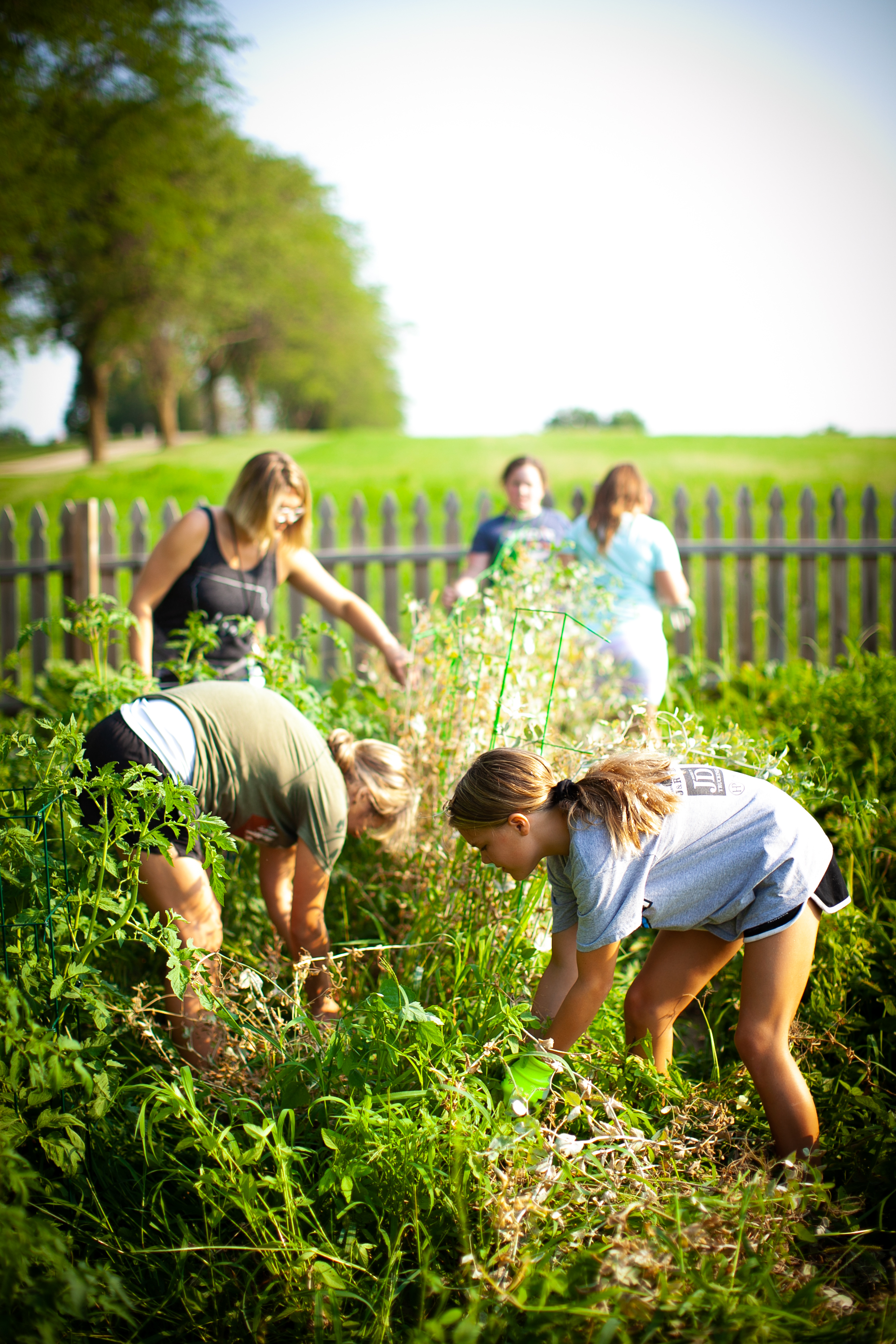 LWMC Garden Image